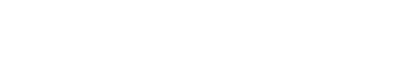 ネットロックシステム株式会社